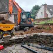 garden dig up